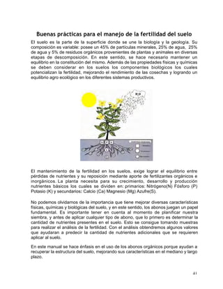 Manual de buenas practicas para el manejo de ch | PDF