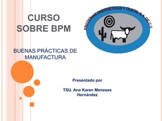 Presentado por
TSU. Ana Karen Meneses
Hernández
CURSO
SOBRE BPM
BUENAS PRÁCTICAS DE
MANUFACTURA
 