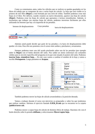 Manual LibreOffice Calc Básico (2021) | PDF