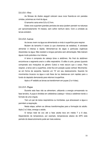 10
2.1.1.3.1 - Ovo
As fêmeas de Aedes aegypti colocam seus ovos fixando-os em paredes
úmidas, próximas ao nível da água.
O tamanho varia entre 0,6 a 0,7mm.
Estes ovos suportam grandes períodos de seca (podem persistir na natureza
por aproximadamente 18 meses), sem sofrer nenhum dano. Com a umidade as
larvas eclodem.
2.1.1.3.2 - Larvas
As larvas vivem na água se alimentando e vindo à superfície para respirar.
Mudam de tamanho 4 vezes (o que chamamos de estádios). A atividade
alimentar é intensa e rápida. Alimentam-se de algas e partículas orgânicas
dissolvidas na água. Não resistem a longos períodos sem alimentação. Não toleram
águas muito poluídas e luz intensa.
A larva é composta de cabeça tórax e abdômen. No final do abdômen
encontra-se o segmento anal e o sifão respiratório. O sifão é curto, grosso (quando
comparado aos mosquitos do gênero Culex) e mais escuro que o corpo. Para
respirar, a larva vem a superfície, onde fica em posição quase vertical. Movimenta-
se em forma de serpente, fazendo um “S” em seu deslocamento. Quando há
movimentos bruscos na água e sob feixe de luz desloca-se com rapidez para o
fundo do depósito demorando para retornar à superfície.
Após o 4º estádio as larvas se transformam em pupas (3 a 4 dias).
2.1.1.3.3 - Pupas
Durante esta fase não se alimentam, utilizando a energia armazenada na
fase larvária. A pupa é dividida em cefalotórax (cabeça + tórax) e abdômen tendo o
formato de uma vírgula.
Tem um par de tubos respiratórios ou trombetas, que atravessam a água e
permitem a respiração.
Nesta etapa, sofrem as últimas transformações para a formação do adulto.
Após 2 a 3 dias, emerge o adulto.
O tempo total de ovo até a fase adulta leva em média 7 a 8 dias.
Dependendo da temperatura, por exemplo, temperaturas abaixo de 20ºC este
período do desenvolvimento pode ser mais extenso.
 