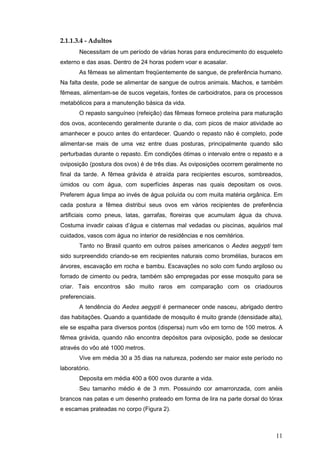11
2.1.1.3.4 - Adultos
Necessitam de um período de várias horas para endurecimento do esqueleto
externo e das asas. Dentro de 24 horas podem voar e acasalar.
As fêmeas se alimentam freqüentemente de sangue, de preferência humano.
Na falta deste, pode se alimentar de sangue de outros animais. Machos, e também
fêmeas, alimentam-se de sucos vegetais, fontes de carboidratos, para os processos
metabólicos para a manutenção básica da vida.
O repasto sanguíneo (refeição) das fêmeas fornece proteína para maturação
dos ovos, acontecendo geralmente durante o dia, com picos de maior atividade ao
amanhecer e pouco antes do entardecer. Quando o repasto não é completo, pode
alimentar-se mais de uma vez entre duas posturas, principalmente quando são
perturbadas durante o repasto. Em condições ótimas o intervalo entre o repasto e a
oviposição (postura dos ovos) é de três dias. As oviposições ocorrem geralmente no
final da tarde. A fêmea grávida é atraída para recipientes escuros, sombreados,
úmidos ou com água, com superfícies ásperas nas quais depositam os ovos.
Preferem água limpa ao invés de água poluída ou com muita matéria orgânica. Em
cada postura a fêmea distribui seus ovos em vários recipientes de preferência
artificiais como pneus, latas, garrafas, floreiras que acumulam água da chuva.
Costuma invadir caixas d’água e cisternas mal vedadas ou piscinas, aquários mal
cuidados, vasos com água no interior de residências e nos cemitérios.
Tanto no Brasil quanto em outros países americanos o Aedes aegypti tem
sido surpreendido criando-se em recipientes naturais como bromélias, buracos em
árvores, escavação em rocha e bambu. Escavações no solo com fundo argiloso ou
forrado de cimento ou pedra, também são empregadas por esse mosquito para se
criar. Tais encontros são muito raros em comparação com os criadouros
preferenciais.
A tendência do Aedes aegypti é permanecer onde nasceu, abrigado dentro
das habitações. Quando a quantidade de mosquito é muito grande (densidade alta),
ele se espalha para diversos pontos (dispersa) num vôo em torno de 100 metros. A
fêmea grávida, quando não encontra depósitos para oviposição, pode se deslocar
através do vôo até 1000 metros.
Vive em média 30 a 35 dias na natureza, podendo ser maior este período no
laboratório.
Deposita em média 400 a 600 ovos durante a vida.
Seu tamanho médio é de 3 mm. Possuindo cor amarronzada, com anéis
brancos nas patas e um desenho prateado em forma de lira na parte dorsal do tórax
e escamas prateadas no corpo (Figura 2).
 