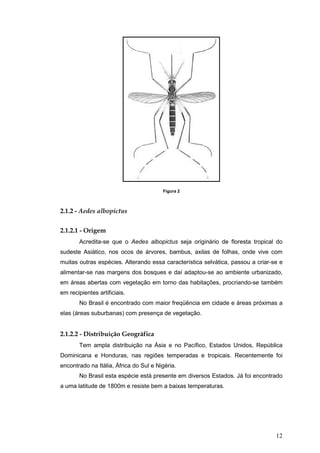 12
Figura 2
2.1.2 - Aedes albopictus
2.1.2.1 - Origem
Acredita-se que o Aedes albopictus seja originário de floresta tropical do
sudeste Asiático, nos ocos de árvores, bambus, axilas de folhas, onde vive com
muitas outras espécies. Alterando essa característica selvática, passou a criar-se e
alimentar-se nas margens dos bosques e daí adaptou-se ao ambiente urbanizado,
em áreas abertas com vegetação em torno das habitações, procriando-se também
em recipientes artificiais.
No Brasil é encontrado com maior freqüência em cidade e áreas próximas a
elas (áreas suburbanas) com presença de vegetação.
2.1.2.2 - Distribuição Geográfica
Tem ampla distribuição na Ásia e no Pacífico, Estados Unidos, República
Dominicana e Honduras, nas regiões temperadas e tropicais. Recentemente foi
encontrado na Itália, África do Sul e Nigéria.
No Brasil esta espécie está presente em diversos Estados. Já foi encontrado
a uma latitude de 1800m e resiste bem a baixas temperaturas.
 