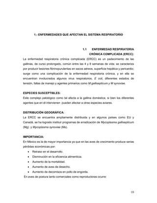 10
1.- ENFERMEDADES QUE AFECTAN EL SISTEMA RESPIRATORIO
1.1 ENFERMEDAD RESPIRATORIA
CRÓNICA COMPLICADA (ERCC):
La enfermedad respiratoria crónica complicada (ERCC) es un padecimiento de las
gallinas, de curso prolongado, común entre las 4 y 8 semanas de vida; se caracteriza
por producir lesiones fibrinopurulentas en sacos aéreos, superficie hepática y pericardio;
surge como una complicación de la enfermedad respiratoria crónica, y en ella se
encuentran involucrados algunos virus respiratorios, E coli, diferentes estados de
tensión, fallas de manejo y agentes primarios como M gallisepticum y M synoviae.
ESPECIES SUSCEPTIBLES:
Este complejo patológico como tal afecta a la gallina doméstica, si bien los diferentes
agentes que en él intervienen pueden afectar a otras especies aviares.
DISTRIBUCIÓN GEOGRÁFICA:
La ERCC se encuentra ampliamente distribuida y en algunos países como EU y
Canadá, se ha logrado instituir programas de erradicación de Mycoplasma gallisepticum
(Mg) y Mycoplasma synoviae (Ms).
IMPORTANCIA:
En México es la de mayor importancia ya que en las aves de crecimiento produce serias
pérdidas económicas por:
 Retraso en el desarrollo.
 Disminución en la eficiencia alimenticia.
 Aumento de la mortalidad.
 Aumento de aves de desecho.
 Aumento de decomisos en pollo de engorda.
En aves de postura tanto comerciales como reproductoras ocurre:
 