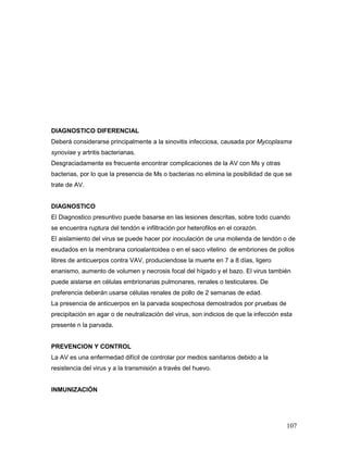 107
DIAGNOSTICO DIFERENCIAL
Deberá considerarse principalmente a la sinovitis infecciosa, causada por Mycoplasma
synoviae y artritis bacterianas.
Desgraciadamente es frecuente encontrar complicaciones de la AV con Ms y otras
bacterias, por lo que la presencia de Ms o bacterias no elimina la posibilidad de que se
trate de AV.
DIAGNOSTICO
El Diagnostico presuntivo puede basarse en las lesiones descritas, sobre todo cuando
se encuentra ruptura del tendón e infiltración por heterofilos en el corazón.
El aislamiento del virus se puede hacer por inoculación de una molienda de tendón o de
exudados en la membrana corioalantoidea o en el saco vitelino de embriones de pollos
libres de anticuerpos contra VAV, produciendose la muerte en 7 a 8 días, ligero
enanismo, aumento de volumen y necrosis focal del hígado y el bazo. El virus también
puede aislarse en células embrionarias pulmonares, renales o testiculares. De
preferencia deberán usarse células renales de pollo de 2 semanas de edad.
La presencia de anticuerpos en la parvada sospechosa demostrados por pruebas de
precipitación en agar o de neutralización del virus, son indicios de que la infección esta
presente n la parvada.
PREVENCION Y CONTROL
La AV es una enfermedad difícil de controlar por medios sanitarios debido a la
resistencia del virus y a la transmisión a través del huevo.
INMUNIZACIÓN
 