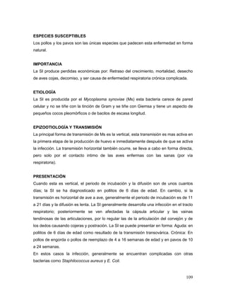 109
ESPECIES SUSCEPTIBLES
Los pollos y los pavos son las únicas especies que padecen esta enfermedad en forma
natural.
IMPORTANCIA
La SI produce perdidas económicas por: Retraso del crecimiento, mortalidad, desecho
de aves cojas, decomiso, y ser causa de enfermedad respiratoria crónica complicada.
ETIOLOGÍA
La SI es producida por el Mycoplasma synoviae (Ms) esta bacteria carece de pared
celular y no se tiñe con la tinción de Gram y se tiñe con Giemsa y tiene un aspecto de
pequeños cocos pleomórficos o de bacilos de escasa longitud.
EPIZOOTIOLOGÍA Y TRANSMISIÓN
La principal forma de transmisión de Ms es la vertical, esta transmisión es mas activa en
la primera etapa de la producción de huevo e inmediatamente después de que se activa
la infección. La transmisión horizontal también ocurre, se lleva a cabo en forma directa,
pero solo por el contacto intimo de las aves enfermas con las sanas (por vía
respiratoria).
PRESENTACIÓN
Cuando esta es vertical, el periodo de incubación y la difusión son de unos cuantos
días; la SI se ha diagnosticado en pollitos de 6 días de edad. En cambio, si la
transmisión es horizontal de ave a ave, generalmente el periodo de incubación es de 11
a 21 días y la difusión es lenta. La SI generalmente desarrolla una infección en el tracto
respiratorio; posteriormente se ven afectadas la cápsula articular y las vainas
tendinosas de las articulaciones, por lo regular las de la articulación del corvejón y de
los dedos causando cojeras y postración. La SI se puede presentar en forma: Aguda: en
pollitos de 6 días de edad como resultado de la transmisión transovárica. Crónica: En
pollos de engorda o pollos de reemplazo de 4 a 16 semanas de edad y en pavos de 10
a 24 semanas.
En estos casos la infección, generalmente se encuentran complicadas con otras
bacterias como Staphilococcus aureus y E. Coli.
 