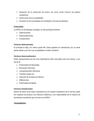 11
 Descenso de la producción de huevo, así como cimas (“picos”) de postura
subóptimas.
 Disminución de la incubabilidad.
 Aumento en los porcentajes de mortalidad y de aves de desecho.
ETIOLOGÍA:
La ERCC es de etiología compleja, en ella participan factores:
 Determinantes.
 Desencadenantes.
 Complicantes.
Factores determinantes:
El principal es Mg y en menor grado Ms. Estos agentes se caracterizan por no tener
pared celular y por ser muy susceptibles al medio ambiente.
Factores desencadenantes:
Están representados por los virus respiratorios tanto vacunales como de campo, y son
los de la:
 Enfermedad de Newcastle.
 Bronquitis infecciosa.
 Laringotraqueítis infecciosa.
 También puede ser:
 Infección de la bolsa de Fabricio.
 Aflatoxicosis.
 Enfermedad de Marek.
Factores Complicantes:
Dentro de éstos el de mayor importancia es la invasión respiratoria de E coli las cuales
son capaces de producir una infección sistémica y son responsables de la mayoría de
las lesiones exudativas que ocurren en la ERCC.
TRANSIMISÓN:
 