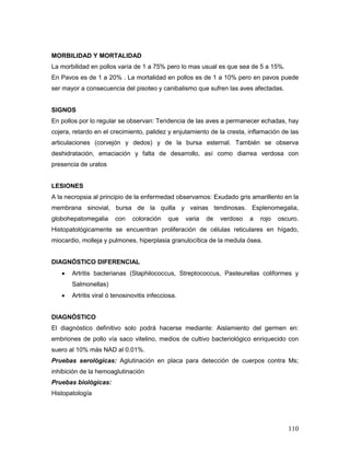 110
MORBILIDAD Y MORTALIDAD
La morbilidad en pollos varía de 1 a 75% pero lo mas usual es que sea de 5 a 15%.
En Pavos es de 1 a 20% . La mortalidad en pollos es de 1 a 10% pero en pavos puede
ser mayor a consecuencia del pisoteo y canibalismo que sufren las aves afectadas.
SIGNOS
En pollos por lo regular se observan: Tendencia de las aves a permanecer echadas, hay
cojera, retardo en el crecimiento, palidez y enjutamiento de la cresta, inflamación de las
articulaciones (corvejón y dedos) y de la bursa esternal. También se observa
deshidratación, emaciación y falta de desarrollo, así como diarrea verdosa con
presencia de uratos
LESIONES
A la necropsia al principio de la enfermedad observamos: Exudado gris amarillento en la
membrana sinovial, bursa de la quilla y vainas tendinosas. Esplenomegalia,
globohepatomegalia con coloración que varia de verdoso a rojo oscuro.
Histopatológicamente se encuentran proliferación de células reticulares en hígado,
miocardio, molleja y pulmones, hiperplasia granulocítica de la medula ósea.
DIAGNÓSTICO DIFERENCIAL
 Artritis bacterianas (Staphilococcus, Streptococcus, Pasteurellas coliformes y
Salmonellas)
 Artritis viral ó tenosinovitis infecciosa.
DIAGNÓSTICO
El diagnóstico definitivo solo podrá hacerse mediante: Aislamiento del germen en:
embriones de pollo vía saco vitelino, medios de cultivo bacteriológico enriquecido con
suero al 10% más NAD al 0.01%.
Pruebas serológicas: Aglutinación en placa para detección de cuerpos contra Ms;
inhibición de la hemoaglutinación
Pruebas biológicas:
Histopatología
 
