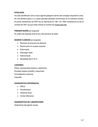 112
ETIOLOGÍA
Ha sido identificado como nuevo agente patógeno dentro del complejo respiratorio aviar.
Es una bacteria gram (-) y causa grandes perdidas económicas en la industria avícola.
El primer aislamiento de ORT fue en Alemania en 1981. En 1994 Vandeamme le dio el
nombre de ORT ya que antes recibía el nombre de Pasteurella like
PRESENTACIÓN (en engorda)
En pollos de engorda entre la 3a y 4ta semana de edad .
SIGNOS CLINICOS (en engorda)
 Rechazo al consumo de alimento
 Disminución en el peso corporal
 Estornudos
 Descarga nasal
 Edema facial
 Mortalidad del 2-10 %
LESIONES
Pollos: aerosaculitis torácica y abdominal
Exudado espeso amarillo y espumoso
Consolidación pulmonar
traqueitis
DIAGNOSTICO DIFERENCIAL
 ERCC
 Pausterelosis
 Influenza Aviar
 Coriza Infeccioso
DIAGNOSTICO DE LABORATORIO
Aislamiento del agente causal
 