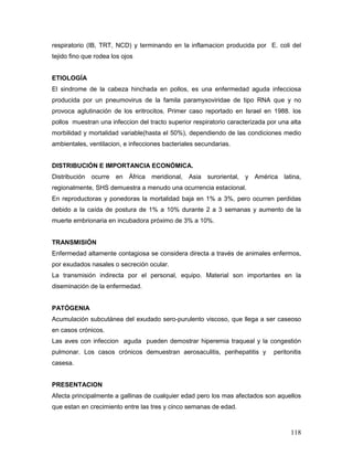 118
respiratorio (IB, TRT, NCD) y terminando en la inflamacion producida por E. coli del
tejido fino que rodea los ojos
ETIOLOGÍA
El sindrome de la cabeza hinchada en pollos, es una enfermedad aguda infecciosa
producida por un pneumovirus de la famila paramyxoviridae de tipo RNA que y no
provoca aglutinación de los eritrocitos. Primer caso reportado en Israel en 1988. los
pollos muestran una infeccion del tracto superior respiratorio caracterizada por una alta
morbilidad y mortalidad variable(hasta el 50%), dependiendo de las condiciones medio
ambientales, ventilacion, e infecciones bacteriales secundarias.
DISTRIBUCIÓN E IMPORTANCIA ECONÓMICA.
Distribución ocurre en África meridional, Asia suroriental, y América latina,
regionalmente, SHS demuestra a menudo una ocurrencia estacional.
En reproductoras y ponedoras la mortalidad baja en 1% a 3%, pero ocurren perdidas
debido a la caída de postura de 1% a 10% durante 2 a 3 semanas y aumento de la
muerte embrionaria en incubadora próximo de 3% a 10%.
TRANSMISIÓN
Enfermedad altamente contagiosa se considera directa a través de animales enfermos,
por exudados nasales o secreción ocular.
La transmisión indirecta por el personal, equipo. Material son importantes en la
diseminación de la enfermedad.
PATÓGENIA
Acumulación subcutánea del exudado sero-purulento viscoso, que llega a ser caseoso
en casos crónicos.
Las aves con infeccion aguda pueden demostrar hiperemia traqueal y la congestión
pulmonar. Los casos crónicos demuestran aerosaculitis, perihepatitis y peritonitis
casesa.
PRESENTACION
Afecta principalmente a gallinas de cualquier edad pero los mas afectados son aquellos
que estan en crecimiento entre las tres y cinco semanas de edad.
 