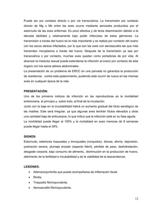 12
Puede ser por contacto directo o por vía transovárica. La transmisión por contacto
directo de Mg o Ms entre las aves ocurre mediante aerosoles producidos por el
estornudo de las aves enfermas. Es poco efectiva y de lenta diseminación debido a la
elevada labilidad y relativamente bajo poder infeccioso de estos gérmenes. La
transmisión a través del huevo es la más importante y se realiza por contacto del ovario
con los sacos aéreos infectados, por lo que son las aves con aerosaculitis las que más
transmiten micoplasma a través del huevo. Después de la transmisión ya sea por
transovárica o por contacto, muchas aves quedan como portadoras de por vida. Al
alcanzar la madurez sexual puede extenderse la infección al ovario por contacto de este
órgano con los sacos aéreos abdominales.
La presentación de un problema de ERCC en una parvada no garantiza la producción
de resistencia contra este padecimiento, pudiendo este ocurrir de nuevo en las mismas
aves en cualquier época de la vida.
PRESENTACIÓN:
Uno de los primeros indicios de infección en las reproductoras es la mortalidad
embrionaria, al principio y, sobre todo, al final de la incubación.
Junto con la baja en la incubabilidad habrá un aumento gradual del título serológico de
las madres. Este será irregular, ya que algunas aves tendrán títulos elevados y otras
una cantidad baja de anticuerpos, lo que indica que la infección está en su fase aguda.
La morbilidad puede llegar al 100% y la mortalidad en aves menores de 8 semanas
puede llegar hasta el 30%.
SIGNOS:
Estornudo, estertores traqueales y bronquiales (ronquidos), disnea, afonía, depresión,
postración severa, plumaje erizado (aspecto febril), pérdida de peso, deshidratación,
desgaste corporal, bajo consumo de alimento,, disminución en la producción de huevo,
detrimento de la fertilidad e incubabilidad y de la viabilidad de la descendencia.
LESIONES:
 Adenoconjuntivitis que puede acompañarse de inflamación facial.
 Rinitis.
 Traqueitis fibrinopurulenta.
 Aerosaculitis fibrinopurulenta.
 