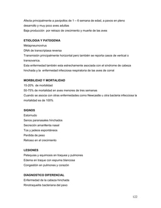 122
Afecta principalmente a pavipollos de 1 – 6 semana de edad, a pavos en pleno
desarrollo y muy poco aves adultas
Baja producción por retrazo de crecimiento y muerte de las aves
ETIOLOGIA Y PATOGENIA
Metapneumovirus
DNA de transcriptasa reversa
Transmisión principalmente horizontal pero también se reporta casos de vertical o
transovarica.
Esta enfermedad también esta estrechamente asociada con el síndrome de cabeza
hinchada y la enfermedad infecciosa respiratoria de las aves de corral
MORBILIDAD Y MORTALIDAD
15-20% de morbilidad
50-75% de mortalidad en aves menores de tres semanas
Cuando se asocia con otras enfermedades como Newcastle u otra bacteria infecciosa la
mortalidad es de 100%
SIGNOS
Estornudo
Senos paranasales hinchados
Secreción amarillenta nasal
Tos y jadeos espontáneos
Perdida de peso
Retraso en el crecimiento
LESIONES
Petequias y equimosis en traquea y pulmones
Edema en traque con espuma blancosa
Congestión en pulmones y corazón
DIAGNOSTICO DIFERENCIAL
Enfermedad de la cabeza hinchada
Rinotraqueitis bacteriana del pavo
 
