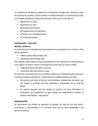 14
En ocasiones es necesario el aislamiento o identificación de Mg o Ms, cultivando a partir
del exudado de cornetes y senos nasales en medios artificiales o en embriones de pollo.
Las pruebas serológicas usadas para demostrar anticuerpos contra Mg son:
 Aglutinación en placa.
 Aglutinación en tubo.
 Microaglutinación directa.
 Microaglutinación con globulinas.
 Inhibición de la hemoaglutinación.
 Inmunofluorescenecia.
PREVENCIÓN Y CONTROL:
Medidas sanitarias:
La prevención de la micoplasmosis está basada en la erradicación de la infección. Para
ello es necesario:
 Obtener pollitos libres de Mg o Ms.
 mantenerlos libres de Mg o Ms.
Para obtener pollitos libres de estos micoplasmas se han utilizado dos métodos básicos
cuyo objetivo es destruir dichos microorganismos antes de que nazca el pollito:
 Tratamiento del huevo fértil con tilosina.
 Tratamiento del huevo fértil con calor.
El mantener una parvada libre de micoplasma debería ser relativamente fácil, gracias a
la escasa resistencia del germen, y basta observar medidas sanitarias sencillas:
 No mezclar aves libres de Mg con aves infectadas, sospechosas de estarlo, que
han estado en contacto con aves infectadas o recuperadas de un brote de
ERCC.
 No permitir personas que han estado en contacto con aves infectadas. La
erradicación de micoplasma se logra cuando las explotaciones emplean el
sistema “todo adentro - todo afuera”.
INMUNIZACIÓN:
Se recomienda criar pollitas de reposición en granjas con aves de una sola edad y
procedencia y vacunándolas 4 a 6 semanas antes de que sean trasladadas a las
granjas de postura.
 