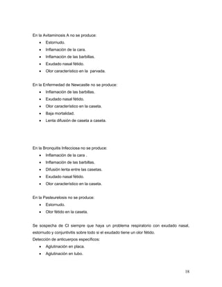 18
En la Avitaminosis A no se produce:
 Estornudo.
 Inflamación de la cara.
 Inflamación de las barbillas.
 Exudado nasal fétido.
 Olor característico en la parvada.
En la Enfermedad de Newcastle no se produce:
 Inflamación de las barbillas.
 Exudado nasal fétido.
 Olor característico en la caseta.
 Baja mortalidad.
 Lenta difusión de caseta a caseta.
En la Bronquitis Infecciosa no se produce:
 Inflamación de la cara .
 Inflamación de las barbillas.
 Difusión lenta entre las casetas.
 Exudado nasal fétido.
 Olor característico en la caseta.
En la Pasteurelosis no se produce:
 Estornudo.
 Olor fétido en la caseta.
Se sospecha de CI siempre que haya un problema respiratorio con exudado nasal,
estornudo y conjuntivitis sobre todo si el exudado tiene un olor fétido.
Detección de anticuerpos específicos:
 Aglutinación en placa.
 Aglutinación en tubo.
 