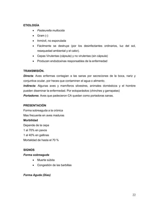 22
ETIOLOGÍA
 Pasteurella multocida
 Gram (-)
 Inmóvil, no esporulada
 Fácilmente se destruye (por los desinfectantes ordinarios, luz del sol,
resequedad ambiental y el calor).
 Cepas Virulentas (cápsula) y no virulentas (sin cápsula)
 Producen endodoxinas responsables de la enfermedad
TRANSMISIÓN.
Directa: Aves enfermas contagian a las sanas por secreciones de la boca, nariz y
conjuntiva ocular, por heces que contaminen el agua o alimento.
Indirecta: Algunas aves y mamíferos silvestres, animales domésticos y el hombre
pueden diseminar la enfermedad. Por ectoparásitos (chinches y garrapatas)
Portadores: Aves que padecieron CA quedan como portadoras sanas.
PRESENTACIÓN
Forma sobreaguda a la crónica
Mas frecuente en aves maduras
Morbilidad
Depende de la cepa
1 al 70% en pavos
1 al 40% en gallinas
Mortalidad de hasta el 70 %
SIGNOS
Forma sobreaguda
 Muerte súbita
 Congestión de las barbillas
Forma Aguda (Días)
 