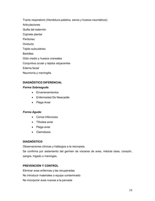 24
Tracto respiratorio (Hendidura palatina, senos y huesos neumáticos)
Articulaciones
Quilla del esternón
Cojinete plantar
Peritoneo
Oviducto
Tejido subcutáneo
Barbillas
Oído medio y huesos craneales
Conjuntiva ocular y tejidos adyacentes
Edema facial
Neumonía y meningitis
DIAGNÓSTICO DIFERENCIAL
Forma Sobreaguda:
 Envenenamientos
 Enfermedad De Newcastle
 Plaga Aviar
Forma Aguda:
 Coriza Infecciosa
 Tifoidea aviar
 Plaga aviar
 Clamidiosis
DIAGNÓSTICO
Observaciones clínicas y hallazgos a la necropsia,
Se confirma por aislamiento del germen de vísceras de aves, médula ósea, corazón,
sangre, hígado o meninges.
PREVENCIÓN Y CONTROL
Eliminar aves enfermas y las recuperadas
No introducir materiales o equipo contaminado
No incorporar aves nuevas a la parvada
 