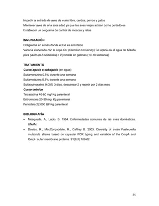 25
Impedir la entrada de aves de vuelo libre, cerdos, perros y gatos
Mantener aves de una sola edad ya que las aves viejas actúan como portadores
Establecer un programa de control de moscas y ratas
INMUNIZACIÓN
Obligatoria en zonas donde el CA es enzoótico
Vacuna elaborada con la cepa CU (Clemson University): se aplica en el agua de bebida
para pavos (6-8 semanas) e inyectada en gallinas (10-18 semanas)
TRATAMIENTO
Curso agudo o subagudo (en agua):
Sulfamerazina 0.5% durante una semana
Sulfametazina 0.5% durante una semana
Sulfaquinoxalina 0.05% 3 días, descansar 2 y repetir por 2 días mas
Curso crónico
Tetraciclina 40-80 mg/ Kg parenteral
Eritromicina 20-30 mg/ Kg parenteral
Penicilina 22,000 UI/ Kg parenteral
BIBLIOGRAFÍA
 Mosqueda, A., Lucio, B. 1984. Enfermedades comunes de las aves domésticas.
UNAM.
 Davies, R., MacCorquodale, R., Caffrey B. 2003. Diversity of avian Pasteurella
multocida strains based on capsular PCR typing and variation of the OmpA and
OmpH outer membrane proteins. 91(2-3):169-82
 