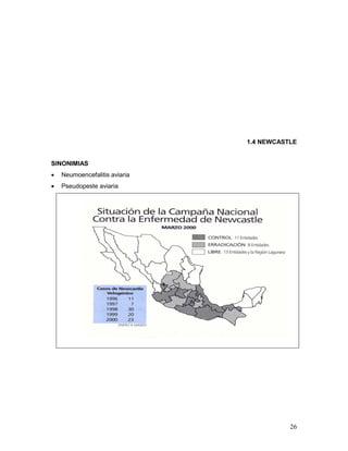 26
1.4 NEWCASTLE
SINONIMIAS
 Neumoencefalitis aviaria
 Pseudopeste aviaria
 