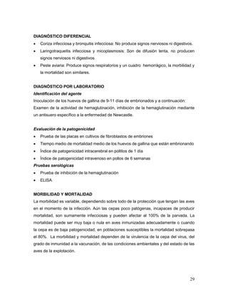 29
DIAGNÓSTICO DIFERENCIAL
 Coriza infecciosa y bronquitis infecciosa: No produce signos nerviosos ni digestivos.
 Laringotraqueitis infecciosa y micoplasmosis: Son de difusión lenta, no producen
signos nerviosos ni digestivos
 Peste aviaria: Produce signos respiratorios y un cuadro hemorrágico, la morbilidad y
la mortalidad son similares.
DIAGNÓSTICO POR LABORATORIO
Identificación del agente
Inoculación de los huevos de gallina de 9-11 días de embrionados y a continuación:
Examen de la actividad de hemaglutinación, inhibición de la hemaglutinación mediante
un antisuero específico a la enfermedad de Newcastle.
Evaluación de la patogenicidad
 Prueba de las placas en cultivos de fibroblastos de embriones
 Tiempo medio de mortalidad medio de los huevos de gallina que están embrionando
 Índice de patogenicidad intracerebral en pollitos de 1 día
 Índice de patogenicidad intravenoso en pollos de 6 semanas
Pruebas serológicas
 Prueba de inhibición de la hemaglutinación
 ELISA
MORBILIDAD Y MORTALIDAD
La morbilidad es variable, dependiendo sobre todo de la protección que tengan las aves
en el momento de la infección. Aún las cepas poco patógenas, incapaces de producir
mortalidad, son sumamente infecciosas y pueden afectar al 100% de la parvada. La
mortalidad puede ser muy baja o nula en aves inmunizadas adecuadamente o cuando
la cepa es de baja patogenicidad, en poblaciones susceptibles la mortalidad sobrepasa
el 80%. La morbilidad y mortalidad dependen de la virulencia de la cepa del virus, del
grado de inmunidad a la vacunación, de las condiciones ambientales y del estado de las
aves de la explotación.
 