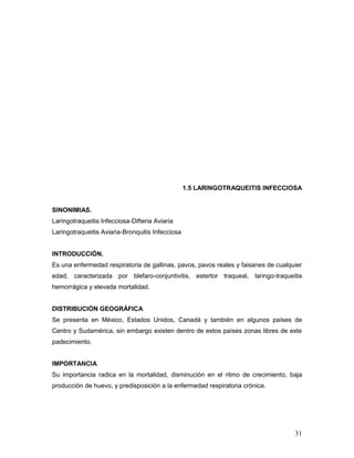 31
1.5 LARINGOTRAQUEITIS INFECCIOSA
SINONIMIAS.
Laringotraqueitis Infecciosa-Difteria Aviaria
Laringotraqueitis Aviaria-Bronquitis Infecciosa
INTRODUCCIÓN.
Es una enfermedad respiratoria de gallinas, pavos, pavos reales y faisanes de cualquier
edad, caracterizada por blefaro-conjuntivitis, estertor traqueal, laringo-traqueitis
hemorrágica y elevada mortalidad.
DISTRIBUCIÓN GEOGRÁFICA
Se presenta en México, Estados Unidos, Canadá y también en algunos países de
Centro y Sudamérica, sin embargo existen dentro de estos países zonas libres de este
padecimiento.
IMPORTANCIA
Su importancia radica en la mortalidad, disminución en el ritmo de crecimiento, baja
producción de huevo, y predisposición a la enfermedad respiratoria crónica.
 