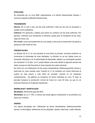 32
ETIOLOGÍA
Es producida por un virus DNA, perteneciente a la familia Herpesviridae (Herpes =
vesícula crujiente) subfamilia Herpesvirinae.
TRANSMISIÓN
Directa: De un ave a otra, por las aves enfermas o bien por las que se recuperan y
quedan como portadoras.
Indirecta: Por personas y objetos que entran en contacto con las aves enfermas. Por
ejemplo: vehículos que transportan el alimento, jaulas para el transporte de las aves,
cajas de huevo, etc.
Por el aire: ocurre principalmente de una caseta a otra pues la transmisión de granja a
granja por este medio es rara.
PRESENTACIÓN
La difusión de la LT en una parvada es muy lenta al principio, aumenta conforme se
incrementa el porcentaje de aves afectadas. La difusión no es tan rápida como en
bronquitis infecciosa y en la enfermedad de Newcastle, debido a su prolongado periodo
de incubación: 6-12 días. La LT puede afectar a las aves desde la segunda semana de
edad, aunque es más frecuente en aves mayores de cuatro semanas.
Se inicia con una inflamación de los senos infraorbitarios, blefaroconjuntivitis serosa y
estornudo en unas cuantas aves. Cuando la LT se complica con coriza infecciosa el
cuadro es más severo y más difícil de combatir. Cuando no se presentan
complicaciones , las gallinas se recuperan en forma individual en unos 15 días; la
parvada recupera la producción normal de huevo en unos 30 días, ya que no se
producen lesiones en el aparato reproductor.
MORBILIDAD Y MORTALIDAD
Morbilidad: difícilmente pasa del 50%.
Mortalidad: de un 5 -10%, a menos que exista alguna complicación o se presente una
cepa muy virulenta.
SIGNOS
Los signos principales son: inflamación de senos infraorbitarios; blefaroconjuntivitis
serosa o hemorrágica; adherencia de los párpados; disnea; estornudo; cuello estirado;
 