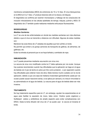 34
membrana corioalantoidea (MCA) de embriones de 10 a 12 días. El virus blanquecinas
en la MCA en 5 a 7 días. LT produce lesiones sólo en la cloaca y la tráquea.
El diagnóstico se confirma por examen microscópico y hallazgo de los corpúsculos de
inclusión intracelulares en las células epiteliales de laringe, tráquea, pulmón y MCA. El
diagnóstico de LT también puede realizarse mediante anticuerpos fluorescentes.
BIOSEGURIDAD
Medidas Sanitarias
La LT es una de las enfermedades en donde las medidas sanitarias son más efectivas
debido a que el virus se transmite a distancia con dificultad. Algunas de estas medidas
son:
Mantener las aves libres de LT aisladas de aquellas que han sufrido un brote.
No permitir que entren a la granja camiones de transporte de gallinas, de alimentos, de
gallinaza, etc.
Evitar la entrada al personal que no se haya bañado y cambiado de ropa.
INMUNIZACIÓN
La LT puede prevenirse mediante vacunación con virus vivo.
La vacuna de virus vivo modificado contra la LT debe aplicarse por vía ocular. Aunque
hay quienes recomiendan cuando hay dificultades que la aplicación se haga en el agua
de bebida con 2 grs de leche en polvo por litro como protector , o por aspersión cuando
hay dificultades para obtener mano de obra. Debe tenerse mucho cuidado con la vía de
aplicación, debido a que una cepa de mediana invasividad (generalmente usada por vía
ocular) puede causar reaccione serias, si se aplica por aerosol y no inducir inmunidad si
es administrada en el agua de bebida. La vacuna para el agua de bebida debe ser más
invasiva.
TRATAMIENTO
No hay tratamiento específico para la LT, sin embargo, ayudan los expectorantes en el
agua para facilitar la expulsión de moco, tales como: Viodine (yodo orgánico) y
Sulfatiazol sódico y antibióticos de amplio espectro para evitar complicaciones con
ERCC. Dada la lenta difusión del virus de LT se puede usar la vacuna al iniciarse el
brote.
 