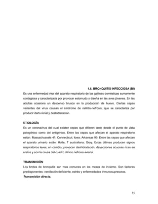 35
1.6. BRONQUITIS INFECCIOSA (BI)
Es una enfermedad viral del aparato respiratorio de las gallinas domésticas sumamente
contagiosa y caracterizada por provocar estornudo y diseña en las aves jóvenes. En las
adultas ocasiona un descenso brusco en la producción de huevo. Ciertas cepas
variantes del virus causan el síndrome de nefritis-nefrosis, que se caracteriza por
producir daño renal y deshidratación.
ETIOLOGÍA
Es un coronavirus del cual existen cepas que difieren tanto desde el punto de vista
patogénico como del antigénico. Entre las cepas que afectan el aparato respiratorio
están: Massachussets 41; Connecticut; Iowa; Arkansas 99. Entre las cepas que afectan
el aparato urinario están: Holte; T australiana; Gray. Estas últimas producen signos
respiratorios leves; en cambio, provocan deshidratación, deyecciones acuosas ricas en
uratos y son la causa del cuadro clínico nefrosis aviaria.
TRANSMISIÓN
Los brotes de bronquitis son mas comunes en los meses de invierno. Son factores
predisponentes: ventilación deficiente, estrés y enfermedades inmunosupresoras.
Transmisión directa.
 