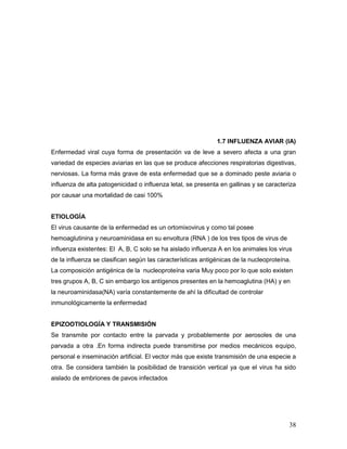 38
1.7 INFLUENZA AVIAR (IA)
Enfermedad viral cuya forma de presentación va de leve a severo afecta a una gran
variedad de especies aviarias en las que se produce afecciones respiratorias digestivas,
nerviosas. La forma más grave de esta enfermedad que se a dominado peste aviaria o
influenza de alta patogenicidad o influenza letal, se presenta en gallinas y se caracteriza
por causar una mortalidad de casi 100%
ETIOLOGÍA
El virus causante de la enfermedad es un ortomixovirus y como tal posee
hemoaglutinina y neuroaminidasa en su envoltura (RNA ) de los tres tipos de virus de
influenza existentes: El A, B, C solo se ha aislado influenza A en los animales los virus
de la influenza se clasifican según las características antigénicas de la nucleoproteína.
La composición antigénica de la nucleoproteína varia Muy poco por lo que solo existen
tres grupos A, B, C sin embargo los antígenos presentes en la hemoaglutina (HA) y en
la neuroaminidasa(NA) varía constantemente de ahí la dificultad de controlar
inmunológicamente la enfermedad
EPIZOOTIOLOGÍA Y TRANSMISIÓN
Se transmite por contacto entre la parvada y probablemente por aerosoles de una
parvada a otra .En forma indirecta puede transmitirse por medios mecánicos equipo,
personal e inseminación artificial. El vector más que existe transmisión de una especie a
otra. Se considera también la posibilidad de transición vertical ya que el virus ha sido
aislado de embriones de pavos infectados
 