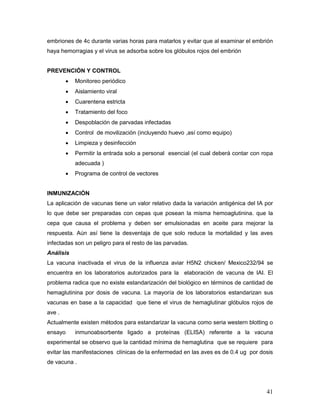 41
embriones de 4c durante varias horas para matarlos y evitar que al examinar el embrión
haya hemorragias y el virus se adsorba sobre los glóbulos rojos del embrión
PREVENCIÓN Y CONTROL
 Monitoreo periódico
 Aislamiento viral
 Cuarentena estricta
 Tratamiento del foco
 Despoblación de parvadas infectadas
 Control de movilización (incluyendo huevo ,así como equipo)
 Limpieza y desinfección
 Permitir la entrada solo a personal esencial (el cual deberá contar con ropa
adecuada )
 Programa de control de vectores
INMUNIZACIÓN
La aplicación de vacunas tiene un valor relativo dada la variación antigénica del IA por
lo que debe ser preparadas con cepas que posean la misma hemoaglutinina. que la
cepa que causa el problema y deben ser emulsionadas en aceite para mejorar la
respuesta. Aún así tiene la desventaja de que solo reduce la mortalidad y las aves
infectadas son un peligro para el resto de las parvadas.
Análisis
La vacuna inactivada el virus de la influenza aviar H5N2 chicken/ Mexico232/94 se
encuentra en los laboratorios autorizados para la elaboración de vacuna de IAI. El
problema radica que no existe estandarización del biológico en términos de cantidad de
hemaglutinina por dosis de vacuna. La mayoría de los laboratorios estandarizan sus
vacunas en base a la capacidad que tiene el virus de hemaglutinar glóbulos rojos de
ave .
Actualmente existen métodos para estandarizar la vacuna como seria western blotting o
ensayo inmunoabsorbente ligado a proteínas (ELISA) referente a la vacuna
experimental se observo que la cantidad mínima de hemaglutina que se requiere para
evitar las manifestaciones clínicas de la enfermedad en las aves es de 0.4 ug por dosis
de vacuna .
 