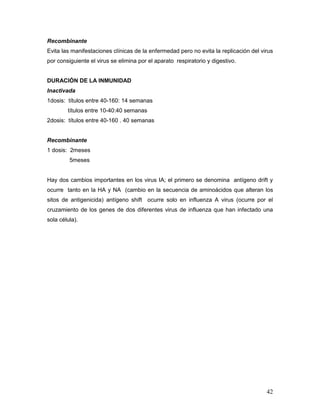 42
Recombinante
Evita las manifestaciones clínicas de la enfermedad pero no evita la replicación del virus
por consiguiente el virus se elimina por el aparato respiratorio y digestivo.
DURACIÓN DE LA INMUNIDAD
Inactivada
1dosis: títulos entre 40-160: 14 semanas
títulos entre 10-40:40 semanas
2dosis: títulos entre 40-160 . 40 semanas
Recombinante
1 dosis: 2meses
5meses
Hay dos cambios importantes en los virus IA; el primero se denomina antígeno drift y
ocurre tanto en la HA y NA (cambio en la secuencia de aminoácidos que alteran los
sitos de antigenicida) antígeno shift ocurre solo en influenza A virus (ocurre por el
cruzamiento de los genes de dos diferentes virus de influenza que han infectado una
sola célula).
 