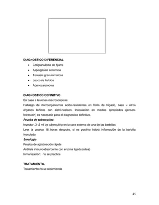 45
DIAGNOSTICO DIFERENCIAL
 Coligranuloma de hjarre
 Aspergilosis sistemica
 Teniasis granulomatosa
 Leucosis linfoide
 Adenocarcinoma
DIAGNOSTICO DEFINITIVO
En base a lesiones macroscópicas:
Hallazgo de microorganismos ácido-resistentes en frotis de hígado, bazo u otros
órganos teñidos con ziehl-neelsen. Inoculación en medios apropiados (jensen-
lowestein) es necesario para el diagnostico definitivo.
Prueba de tuberculina
Inyectar .3-.5 ml de tuberculina en la cara externa de una de las barbillas
Leer la prueba 18 horas después, si es positiva habrá inflamación de la barbilla
inoculada
Serología
Prueba de aglutinación rápida
Análisis inmunoabsorbente con enzima ligada (elisa)
Inmunización: no se practica
TRATAMIENTO.
Tratamiento no se recomienda
 