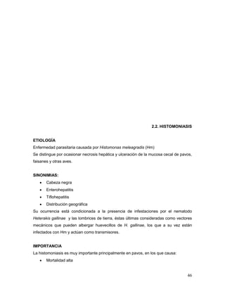46
2.2. HISTOMONIASIS
ETIOLOGÍA
Enfermedad parasitaria causada por Histomonas meleagradis (Hm)
Se distingue por ocasionar necrosis hepática y ulceración de la mucosa cecal de pavos,
faisanes y otras aves.
SINONIMIAS:
 Cabeza negra
 Enterohepatitis
 Tiflohepatitis
 Distribución geográfica
Su ocurrencia está condicionada a la presencia de infestaciones por el nematodo
Heterakis gallinae y las lombrices de tierra, éstas últimas consideradas como vectores
mecánicos que pueden albergar huevecillos de H. gallinae, los que a su vez están
infectados con Hm y actúan como transmisores.
IMPORTANCIA
La histomoniasis es muy importante principalmente en pavos, en los que causa:
 Mortalidad alta
 