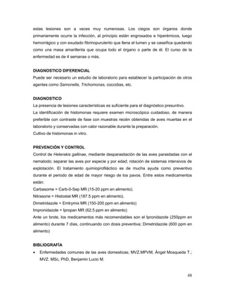 48
estas lesiones son a veces muy numerosas. Los ciegos son órganos donde
primariamente ocurre la infección, al principio están engrosados e hiperémicos, luego
hemorrágico y con exudado fibrinopurulento que llena el lumen y se caseifica quedando
como una masa amarillenta que ocupa todo el órgano o parte de él. El curso de la
enfermedad es de 4 semanas o más.
DIAGNOSTICO DIFERENCIAL
Puede ser necesario un estudio de laboratorio para establecer la participación de otros
agentes como Samonella, Trichomonas, coccidias, etc.
DIAGNOSTICO
La presencia de lesiones características es suficiente para el diagnóstico presuntivo.
La identificación de histomonas requiere examen microscópico cuidadoso, de manera
preferible con contraste de fase con muestras recién obtenidas de aves muertas en el
laboratorio y conservadas con calor razonable durante la preparación.
Cultivo de histomonas in vitro.
PREVENCIÓN Y CONTROL
Control de Heterakis gallinae, mediante desparasitación de las aves parasitadas con el
nematodo; separar las aves por especie y por edad; rotación de sistemas intensivos de
explotación. El tratamiento quimioprofiláctico es de mucha ayuda como preventivo
durante el periodo de edad de mayor riesgo de los pavos. Entre estos medicamentos
están:
Carbasome = Carb-0-Sep MR (15-20 ppm en alimento).
Nitrasone = Histostat MR (187.5 ppm en alimento).
Dimetridazole = Emtrymix MR (150-200 ppm en alimento)
Impronidazole = Ipropan MR (62.5 ppm en alimento)
Ante un brote, los medicamentos más recomendables son el Ipronidazole (250ppm en
alimento) durante 7 días, continuando con dosis preventiva; Dimetridazole (600 ppm en
alimento)
BIBLIOGRAFÍA
 Enfermedades comunes de las aves domesticas; MVZ.MPVM, Ángel Mosqueda T.;
MVZ. MSc, PhD, Benjamin Lucio M.
 