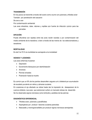 52
TRANSMISIÓN
En los pavos se transmite a través del ovario como ocurre con pulorosis y tifoidea aviar
También por penetración del cascaron
De ave a ave
Por contaminación ambiental
Las aves silvestres, ratas, ratones y reptiles son fuente de infección común para las
parvadas
DIFUCIÓN
Puede difundirse con rapidez entre las aves recién nacidas o por contaminación del
medio ambiente de la nacedora; o bien a través de las manos de los seleccionadores y
sexadores
MORTALIDAD
Es del 5 al 70 % la morbilidad es semejante a la mortalidad
SIGNOS Y LESIONES
Las aves enfermas muestran
 Depresión
 Excremento blanquizco por deshidratación
 Anorexia
 Plumas erizadas
 Postración hasta la muerte
Es común que un 6% de los pavitos desarrollen ceguera uni o bilateral por acumulación
de exudado purulento en retina y cámaras oculares
En ocasiones el ojo afectado se retrae hasta dar la impresión de desaparecer de la
cuenca orbitaria. Las aves que sobreviven sufren un marcado retraso de desarrollo
Se ha observado signos nerviosos como tortícolis y parálisis de las piernas
DIAGNÓSTICO DIFERENCIAL
 Tifoidea aviar, pulorosis y paratifoidea
 Aspergilosis por producir lesiones oculares parecidas
 Newcastle y meningoencefalitis por producir signos nerviosos semejantes
 