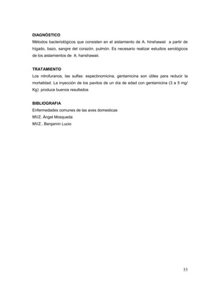 53
DIAGNÓSTICO
Métodos bacteriológicos que consisten en el aislamiento de A. hinshawaii a partir de
hígado, bazo, sangre del corazón, pulmón. Es necesario realizar estudios serológicos
de los aislamientos de A. hanshawaii.
TRATAMIENTO
Los nitrofuranos, las sulfas: espectinomicina, gentamicina son útiles para reducir la
mortalidad. La inyección de los pavitos de un día de edad con gentamicina (3 a 5 mg/
Kg) produce buenos resultados
BIBLIOGRAFIA
Enfermedades comunes de las aves domesticas
MVZ. Ángel Mosqueda
MVZ.. Benjamín Lucio
 