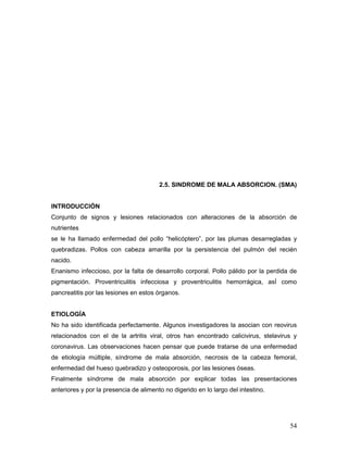 54
2.5. SINDROME DE MALA ABSORCION. (SMA)
INTRODUCCIÓN
Conjunto de signos y lesiones relacionados con alteraciones de la absorción de
nutrientes
se le ha llamado enfermedad del pollo “helicóptero”, por las plumas desarregladas y
quebradizas. Pollos con cabeza amarilla por la persistencia del pulmón del recién
nacido.
Enanismo infeccioso, por la falta de desarrollo corporal. Pollo pálido por la perdida de
pigmentación. Proventriculitis infecciosa y proventriculitis hemorrágica, asÍ como
pancreatitis por las lesiones en estos órganos.
ETIOLOGÍA
No ha sido identificada perfectamente. Algunos investigadores la asocian con reovirus
relacionados con el de la artritis viral, otros han encontrado calicivirus, stelavirus y
coronavirus. Las observaciones hacen pensar que puede tratarse de una enfermedad
de etiología múltiple, síndrome de mala absorción, necrosis de la cabeza femoral,
enfermedad del hueso quebradizo y osteoporosis, por las lesiones óseas.
Finalmente síndrome de mala absorción por explicar todas las presentaciones
anteriores y por la presencia de alimento no digerido en lo largo del intestino.
 