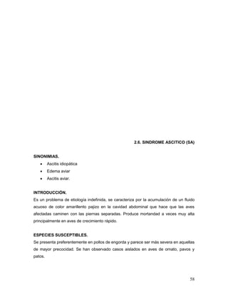 58
2.6. SINDROME ASCITICO (SA)
SINONIMIAS.
 Ascitis idiopática
 Edema aviar
 Ascitis aviar.
INTRODUCCIÓN.
Es un problema de etiología indefinida, se caracteriza por la acumulación de un fluido
acuoso de color amarillento pajizo en la cavidad abdominal que hace que las aves
afectadas caminen con las piernas separadas. Produce mortandad a veces muy alta
principalmente en aves de crecimiento rápido.
ESPECIES SUSCEPTIBLES.
Se presenta preferentemente en pollos de engorda y parece ser más severa en aquellas
de mayor precocidad. Se han observado casos aislados en aves de ornato, pavos y
patos.
 