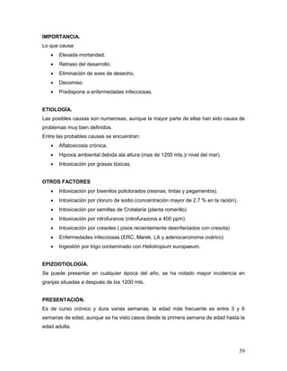 59
IMPORTANCIA.
Lo que causa:
 Elevada mortandad.
 Retraso del desarrollo.
 Eliminación de aves de desecho.
 Decomiso.
 Predispone a enfermedades infecciosas.
ETIOLOGÍA.
Las posibles causas son numerosas, aunque la mayor parte de ellas han sido causa de
problemas muy bien definidos.
Entre las probables causas se encuentran:
 Aflatoxicosis crónica.
 Hipoxia ambiental debida ala altura (mas de 1200 mts.)/ nivel del mar).
 Intoxicación por grasas tóxicas.
OTROS FACTORES
 Intoxicación por bixenilos policlorados (resinas, tintas y pegamentos).
 Intoxicación por cloruro de sodio (concentración mayor de 2.7 % en la ración).
 Intoxicación por semillas de Crotalaria (planta romerillo)
 Intoxicación por nitrofuranos (nitrofurazona a 400 ppm).
 Intoxicación por cresoles ( pisos recientemente desinfectados con cresota)
 Enfermedades infecciosas (ERC, Marek, LA y adenocarcinoma ovárico)
 Ingestión por trigo contaminado con Heliotropium europaeum.
EPIZOOTIOLOGÍA.
Se puede presentar en cualquier época del año, se ha notado mayor incidencia en
granjas situadas a después de los 1200 mts.
PRESENTACIÓN.
Es de curso crónico y dura varias semanas, la edad más frecuente es entre 3 y 6
semanas de edad, aunque se ha visto casos desde la primera semana de edad hasta la
edad adulta.
 