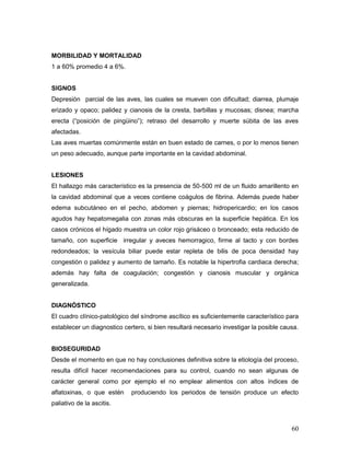 60
MORBILIDAD Y MORTALIDAD
1 a 60% promedio 4 a 6%.
SIGNOS
Depresión parcial de las aves, las cuales se mueven con dificultad; diarrea, plumaje
erizado y opaco; palidez y cianosis de la cresta, barbillas y mucosas; disnea; marcha
erecta (“posición de pingüino”); retraso del desarrollo y muerte súbita de las aves
afectadas.
Las aves muertas comúnmente están en buen estado de carnes, o por lo menos tienen
un peso adecuado, aunque parte importante en la cavidad abdominal.
LESIONES
El hallazgo más característico es la presencia de 50-500 ml de un fluido amarillento en
la cavidad abdominal que a veces contiene coágulos de fibrina. Además puede haber
edema subcutáneo en el pecho, abdomen y piernas; hidropericardio; en los casos
agudos hay hepatomegalia con zonas más obscuras en la superficie hepática. En los
casos crónicos el hígado muestra un color rojo grisáceo o bronceado; esta reducido de
tamaño, con superficie irregular y aveces hemorragico, firme al tacto y con bordes
redondeados; la vesícula biliar puede estar repleta de bilis de poca densidad hay
congestión o palidez y aumento de tamaño. Es notable la hipertrofia cardiaca derecha;
además hay falta de coagulación; congestión y cianosis muscular y orgánica
generalizada.
DIAGNÓSTICO
El cuadro clínico-patológico del síndrome ascítico es suficientemente característico para
establecer un diagnostico certero, si bien resultará necesario investigar la posible causa.
BIOSEGURIDAD
Desde el momento en que no hay conclusiones definitiva sobre la etiología del proceso,
resulta difícil hacer recomendaciones para su control, cuando no sean algunas de
carácter general como por ejemplo el no emplear alimentos con altos índices de
aflatoxinas, o que estén produciendo los periodos de tensión produce un efecto
paliativo de la ascitis.
 