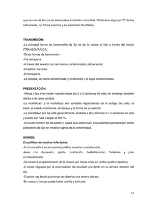 62
que es una de las pocas salmonelas inmóviles conocidas. Pertenece al grupo “D” de las
salmonelas, no forma esporas y es anaerobio facultativo.
TRANSMISIÓN:
-La principal forma de transmisión de Sp es de la madre al hijo a traves del ovario
(TRANSOVARICA).
-Otras formas de transmición:
-Vía aerogena.
-A traves del sexado con las manos contaminadas del personal.
-Al aplicar vacunas.
-El transporte.
-La crianza, en cama contaminada y el alimento y el agua contaminados.
PRESENTACIÓN:
-Afecta a las aves recién nacidas hasta las 2 o 3 semanas de vida; sin embargo también
afecta a las aves adultas.
-La morbilidad y la mortalidad son variables dependiendo de la estirpe del pollo, la
edad, el estado nutricional, el manejo y la forma de exposición.
-La mortalidad por Sp está generalmente, limitada a las primeras 2 o 3 semanas de vida
y puede ser nula o llegar al 100 %.
-Un buen numero de los pollos y pavos que sobreviven a la pulorosis permanecen como
portadores de Sp sin mostrar signos de la enfermedad.
SIGNOS:
En pollitos de madres infectadas:
-En la nacedora se encuentran pollitos muertos o moribundos.
-Aves con depresión, apatía, postración, deshidratación, friolentas y pían
constantemente.
-Se observa empastamiento de la cloaca por heces ricas en uratos (pollos tapados).
-A veces ceguera por la acumulación de exudado purulento en la cámara anterior del
ojo.
-Cuando hay lesión pulmonar se observa una severa disnea .
-En casos crónicos puede haber artritis y tortícolis.
 