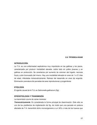 65
2.8. TIFOIDEA AVIAR
INTRODUCCIÓN
La T.A. es una enfermedad septicémica muy importante en las gallinas y los pavos,
caracterizada por producir mortalidad elevada, sobre todo en pollos jóvenes y en
gallinas en producción. Se caracteriza por aumento de volumen del hígado, necrosis
focal y color bronceado del mismo. Hay una mortalidad elevada en aves de 1 a 21 días
de edad, infectadas transováricamente. Retraso del desarrollo en aves de engorda.
Eliminación prematura de parvadas de aves reproductoras y progenitoras
ETIOLOGÍA
El agente causal de la T.A. es Salmonella gallinarum (Sg)
EPIZOOTIOLOGÍA Y TRANSMISIÓN
La transmisión ocurre de varias maneras:
Transováricamente. Es considerada la forma principal de diseminación. Este sitio es
uno de los predilectos de implantación de Sg, de modo que una parvada en postura
afectada de T.A. transmitirá dicho microorganismo a un 30% o más de los huevos que
 
