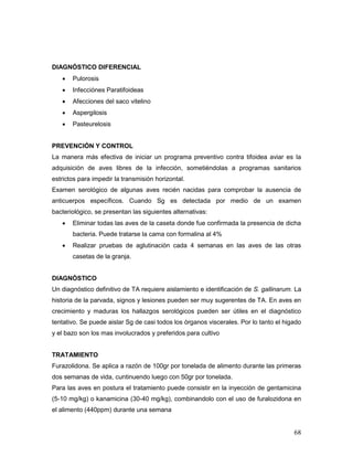 68
DIAGNÓSTICO DIFERENCIAL
 Pulorosis
 Infecciónes Paratifoideas
 Afecciones del saco vitelino
 Aspergilosis
 Pasteurelosis
PREVENCIÓN Y CONTROL
La manera más efectiva de iniciar un programa preventivo contra tifoidea aviar es la
adquisición de aves libres de la infección, sometiéndolas a programas sanitarios
estrictos para impedir la transmisión horizontal.
Examen serológico de algunas aves recién nacidas para comprobar la ausencia de
anticuerpos específicos. Cuando Sg es detectada por medio de un examen
bacteriológico, se presentan las siguientes alternativas:
 Eliminar todas las aves de la caseta donde fue confirmada la presencia de dicha
bacteria. Puede tratarse la cama con formalina al 4%
 Realizar pruebas de aglutinación cada 4 semanas en las aves de las otras
casetas de la granja.
DIAGNÓSTICO
Un diagnóstico definitivo de TA requiere aislamiento e identificación de S. gallinarum. La
historia de la parvada, signos y lesiones pueden ser muy sugerentes de TA. En aves en
crecimiento y maduras los hallazgos serológicos pueden ser útiles en el diagnóstico
tentativo. Se puede aislar Sg de casi todos los órganos viscerales. Por lo tanto el higado
y el bazo son los mas involucrados y preferidos para cultivo
TRATAMIENTO
Furazolidona. Se aplica a razón de 100gr por tonelada de alimento durante las primeras
dos semanas de vida, cuntinuendo luego con 50gr por tonelada.
Para las aves en postura el tratamiento puede consistir en la inyección de gentamicina
(5-10 mg/kg) o kanamicina (30-40 mg/kg), combinandolo con el uso de furalozidona en
el alimento (440ppm) durante una semana
 