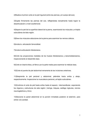 7
2)Realice el primer corte en la piel inguinal (entre las piernas y el cuerpo del ave).
3)Sujete firmemente las piernas del ave, reflejándolas dorsalmente hasta lograr la
desarticulación a nivel coxofemoral.
4)Separe la piel de la superficie lateral de la pierna, examinando los músculos y el tejido
subcutáneo de ésta región.
5)Eleve los músculos abductores de la pierna para examinar los nervios ciáticos.
6)Incida la articulación femorotibial.
7)Incida la articulación tibiotarsiana.
8)Corte las proyecciones mediales de los huesos tibiotarsianos y tarsometatarsianos,
inspeccionando el desarrollo óseo.
9)Corte en bisel la tibia y el fémur por la parte media para examinar la médula ósea.
10)Corte el puente de piel abdominal remanente de las incisiones anteriores.
11)Desprenda la piel pectoral y abdominal, jalándola hacia arriba y abajo,
respectivamente. Inspeccione la musculatura pectoral y el tejido subcutáneo.
12)Continúe el corte de piel hasta arriba hasta el espacio intermandibular, exponiendo
los órganos y estructuras de esta región ( laringe, tráquea, esófago ingluvies, nervios
neumogástricos y timo).
13)Seccione la pared abdominal en la porción inmediata posterior al esternón, para
entrar a la cavidad.
 