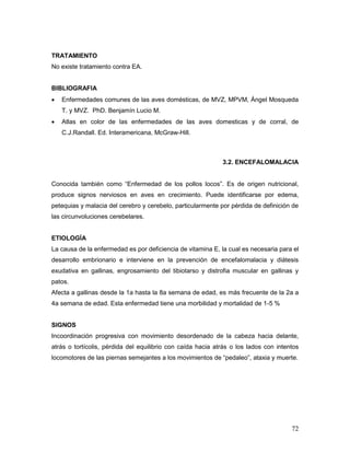 72
TRATAMIENTO
No existe tratamiento contra EA.
BIBLIOGRAFIA
 Enfermedades comunes de las aves domésticas, de MVZ, MPVM, Ángel Mosqueda
T. y MVZ. PhD. Benjamín Lucio M.
 Atlas en color de las enfermedades de las aves domesticas y de corral, de
C.J.Randall. Ed. Interamericana, McGraw-Hill.
3.2. ENCEFALOMALACIA
Conocida también como “Enfermedad de los pollos locos”. Es de origen nutricional,
produce signos nerviosos en aves en crecimiento. Puede identificarse por edema,
petequias y malacia del cerebro y cerebelo, particularmente por pérdida de definición de
las circunvoluciones cerebelares.
ETIOLOGÍA
La causa de la enfermedad es por deficiencia de vitamina E, la cual es necesaria para el
desarrollo embrionario e interviene en la prevención de encefalomalacia y diátesis
exudativa en gallinas, engrosamiento del tibiotarso y distrofia muscular en gallinas y
patos.
Afecta a gallinas desde la 1a hasta la 8a semana de edad, es más frecuente de la 2a a
4a semana de edad. Esta enfermedad tiene una morbilidad y mortalidad de 1-5 %
SIGNOS
Incoordinación progresiva con movimiento desordenado de la cabeza hacia delante,
atrás o tortícolis, pérdida del equilibrio con caída hacia atrás o los lados con intentos
locomotores de las piernas semejantes a los movimientos de “pedaleo”, ataxia y muerte.
 