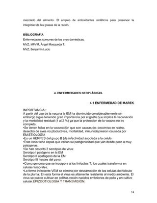 74
mezclado del alimento. El empleo de antioxidantes sintéticos para preservar la
integridad de las grasas de la ración.
BIBLIOGRAFÍA
Enfermedades comunes de las aves domésticas.
MVZ, MPVM, Ángel Mosqueda T.
MVZ, Benjamín Lucio
4. ENFERMEDADES NEOPLÁSICAS.
4.1 ENFERMEDAD DE MAREK
IMPORTANCIA:•
A partir del uso de la vacuna la EM ha disminuido considerablemente sin
embargo sigue teniendo gran importancia por el gasto que implica la vacunación
y la mortalidad residual (1 al 2 %) ya que la proteccion de la vacuna no es
completa.
•Se tienen fallas en la vacunación que son causas de: decomiso en rastro,
desecho de aves no ptoductivas, mortalidad, inmunodepresion causada por
EM.ETIOLOGÍA
•Es un HERPES del grupo B (de infectividad asociada a la celula
•Este virus tiene cepas que varian su patogenicidad que van desde poco a muy
patogenas.
•Se han descrito 3 serotipos de virus:
Serotipo I patógeno en la EM
Serotipo II apatogeno de la EM
Serotipo III herpes del pavo
•Como genoma que se incorpora a los linfocitos T, los cuales transforma en
celulas tumorales.
•La forma infectante VEM se elimina por descamación de las celulas del foliculo
de la pluma. En esta forma el virus es altamente resistente al medio ambiente. El
virus se puede cultivar en pollitos recién nacidos embriones de pollo y en cultivo
celular.EPIZOOTIOLOGIA Y TRANSMISIÓN:
 