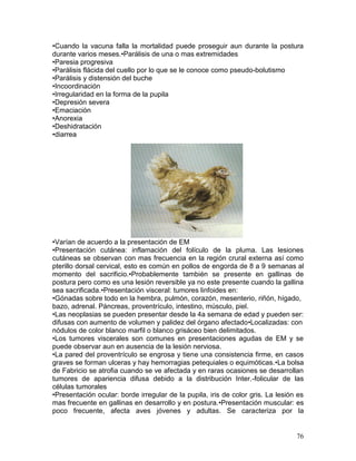 76
•Cuando la vacuna falla la mortalidad puede proseguir aun durante la postura
durante varios meses.•Parálisis de una o mas extremidades
•Paresia progresiva
•Parálisis flácida del cuello por lo que se le conoce como pseudo-bolutismo
•Parálisis y distensión del buche
•Incoordinación
•Irregularidad en la forma de la pupila
•Depresión severa
•Emaciación
•Anorexia
•Deshidratación
•diarrea
•Varían de acuerdo a la presentación de EM
•Presentación cutánea: inflamación del folículo de la pluma. Las lesiones
cutáneas se observan con mas frecuencia en la región crural externa así como
pterillo dorsal cervical, esto es común en pollos de engorda de 8 a 9 semanas al
momento del sacrificio.•Probablemente también se presente en gallinas de
postura pero como es una lesión reversible ya no este presente cuando la gallina
sea sacrificada.•Presentación visceral: tumores linfoides en:
•Gónadas sobre todo en la hembra, pulmón, corazón, mesenterio, riñón, hígado,
bazo, adrenal. Páncreas, proventrículo, intestino, músculo, piel.
•Las neoplasias se pueden presentar desde la 4a semana de edad y pueden ser:
difusas con aumento de volumen y palidez del órgano afectado•Localizadas: con
nódulos de color blanco marfil o blanco grisáceo bien delimitados.
•Los tumores viscerales son comunes en presentaciones agudas de EM y se
puede observar aun en ausencia de la lesión nerviosa.
•La pared del proventrículo se engrosa y tiene una consistencia firme, en casos
graves se forman ulceras y hay hemorragias petequiales o equimóticas.•La bolsa
de Fabricio se atrofia cuando se ve afectada y en raras ocasiones se desarrollan
tumores de apariencia difusa debido a la distribución Inter.-folicular de las
células tumorales
•Presentación ocular: borde irregular de la pupila, iris de color gris. La lesión es
mas frecuente en gallinas en desarrollo y en postura.•Presentación muscular: es
poco frecuente, afecta aves jóvenes y adultas. Se caracteriza por la
 