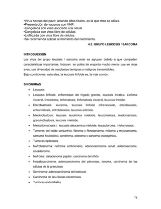 78
•Virus herpes del pavo: alcanza altos títulos, es la que mas se utiliza.
•Presentación de vacunas con VHP:
•Congelada con virus asociado a la célula
•Congelada con virus libre de células
•Liofilizada con virus libre de células.
•Se recomienda aplicar al momento del nacimiento.
4.2. GRUPO LEUCOSIS / SARCOMA
INTRODUCCIÓN
Los virus del grupo leucosis / sarcoma aviar se agrupan debido a que comparten
características importantes. Inducen en pollos de engorda mucho menor que en otras
aves, una diversidad de neoplasias benignas y malignas transmisibles.
Bajo condiciones naturales, la leucosis linfoide es, la más común.
SINONIMIAS
 Leucosis
 Leucosis linfoide: enfermedad del hígado grande, leucosis linfatica. Linfoma
visceral, linfocitoma, linfomatosis, linfomatosis visceral, leucosis linfoide.
 Eritroblastosis: leucemia, leucosis linfoide intravascular, eritroleucosis,
eritromielosis, eritroblastosis, leucosis eritroide.
 Mieoloblastosis: leucosis leucémica mieloide, leucomielosa, mielomastosis,
granuloblastosis, leucosis mieloide.
 Mielocitoma(tosis): leucosis aleucemica mieloide, leucocloroma, mielomatosis.
 Tumores del tejido conjuntivo: fibroma y fibrosarcoma, mixoma y mixosarcoma,
sarcoma histiocitico, condroma, osteoma y sarcoma osteogénico.
 Tumores epiteliales
 Nefroblastoma: nefroma embrionario, adenocarcinoma renal, adenosarcoma,
cistadenoma.
 Nefroma: cistadenoma papilar, carcinoma del riñón
 Hepatocarcinoma, adenocarcinoma del páncreas, tecoma, carcinoma de las
células de la granulosa
 Seminoma: adenocarcinoma del testículo
 Carcinoma de las células escamosas.
 Tumores endoteliales
 