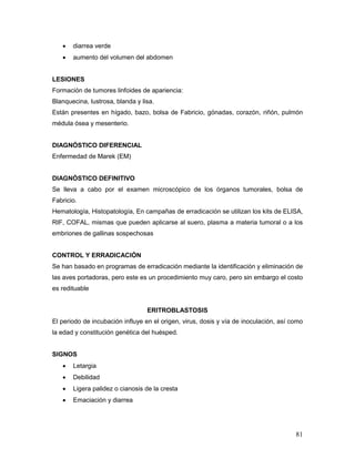 81
 diarrea verde
 aumento del volumen del abdomen
LESIONES
Formación de tumores linfoides de apariencia:
Blanquecina, lustrosa, blanda y lisa.
Están presentes en hígado, bazo, bolsa de Fabricio, gónadas, corazón, riñón, pulmón
médula ósea y mesenterio.
DIAGNÓSTICO DIFERENCIAL
Enfermedad de Marek (EM)
DIAGNÓSTICO DEFINITIVO
Se lleva a cabo por el examen microscópico de los órganos tumorales, bolsa de
Fabricio.
Hematología, Histopatología, En campañas de erradicación se utilizan los kits de ELISA,
RIF, COFAL, mismas que pueden aplicarse al suero, plasma a materia tumoral o a los
embriones de gallinas sospechosas
CONTROL Y ERRADICACIÓN
Se han basado en programas de erradicación mediante la identificación y eliminación de
las aves portadoras, pero este es un procedimiento muy caro, pero sin embargo el costo
es redituable
ERITROBLASTOSIS
El periodo de incubación influye en el origen, virus, dosis y vía de inoculación, así como
la edad y constitución genética del huésped.
SIGNOS
 Letargia
 Debilidad
 Ligera palidez o cianosis de la cresta
 Emaciación y diarrea
 