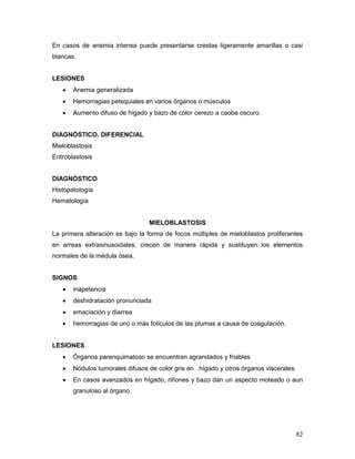 82
En casos de anemia intensa puede presentarse crestas ligeramente amarillas o casi
blancas.
LESIONES
 Anemia generalizada
 Hemorragias petequiales en varios órganos o músculos
 Aumento difuso de hígado y bazo de color cerezo a caoba oscuro.
DIAGNÓSTICO. DIFERENCIAL
Mieloblastosis
Eritroblastosis
DIAGNÓSTICO
Histopatología
Hematología
MIELOBLASTOSIS
La primera alteración es bajo la forma de focos múltiples de mieloblastos proliferantes
en arreas extrasinusoidales, crecen de manera rápida y sustituyen los elementos
normales de la médula ósea.
SIGNOS
 inapetencia
 deshidratación pronunciada
 emaciación y diarrea
 hemorragias de uno o más folículos de las plumas a causa de coagulación.
LESIONES
 Órganos parenquimatoso se encuentran agrandados y friables
 Nódulos tumorales difusos de color gris en hígado y otros órganos viscerales
 En casos avanzados en hígado, riñones y bazo dan un aspecto moteado o aun
granuloso al órgano.
 