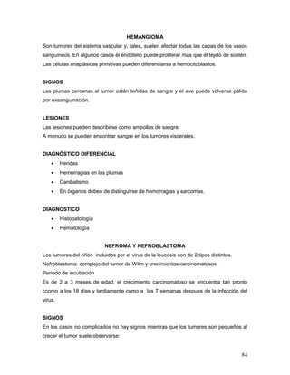 84
HEMANGIOMA
Son tumores del sistema vascular y, tales, suelen afectar todas las capas de los vasos
sanguíneos. En algunos casos el endotelio puede proliferar más que el tejido de sostén.
Las células anaplásicas primitivas pueden diferenciarse a hemocitoblastos.
SIGNOS
Las plumas cercanas al tumor están teñidas de sangre y el ave puede volverse pálida
por exsanguinación.
LESIONES
Las lesiones pueden describirse como ampollas de sangre.
A menudo se pueden encontrar sangre en los tumores viscerales.
DIAGNÓSTICO DIFERENCIAL
 Heridas
 Hemorragias en las plumas
 Canibalismo
 En órganos deben de distinguirse de hemorragias y sarcomas.
DIAGNÓSTICO
 Histopatología
 Hematología
NEFROMA Y NEFROBLASTOMA
Los tumores del riñòn incluidos por el virus de la leucosis son de 2 tipos distintos.
Nefroblastoma: complejo del tumor de Wilm y crecimientos carcinomatosos.
Periodo de incubación
Es de 2 a 3 meses de edad, el crecimiento carcinomatoso se encuentra tan pronto
ccomo a los 18 días y tardiamente como a las 7 semanas despues de la infección del
virus.
SIGNOS
En los casos no complicados no hay signos mientras que los tumores son pequeños al
crecer el tumor suele observarse:
 