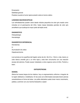 85
Emaciación
Debilidad general
Paralisis (cuando el tumor ejerce presión sobre el nervio ciático.
LESIONES MACROSCOPICAS
Los nefroblastomas pueden variar desde nódulos pequeños de color gris rosado como
incluidos en el parenquima del riñón, hasta masas lobuladas grandes de color gris
amarillento que sustituye la mayor parte del tejido renal.
DIAGNOSTICO
Histopatología
Hematología
DIAGNÓSTICO DIFERENCIAL
Hematomas
Ll
Acumulación de uratos
Hepatocarcinoma
Los tumores en la superficie del hígado varían de dm. De 0.5 a 10mm o más, tienen un
color blanco amarillo gris o un tinte rojizo y esta bien circunscrito con una reacción
escasa del estroma. Puede causar metastasis a otros organos como el riñón. Pulmón y
bazo.
OSTEOPETROSIS
SIGNOS.
Afecta los huesos largos de los miebros, hay un engrosamiento uniforme o irregular de
la región diafisiaria o metafisiaria. En las aves con enfermedad avanzada tienen piernas
caracteristicas en forma de botas. Los pollos afectados suelen tener menor crecimiento,
palidez y caminan con una marcha titubeante o cojean
 